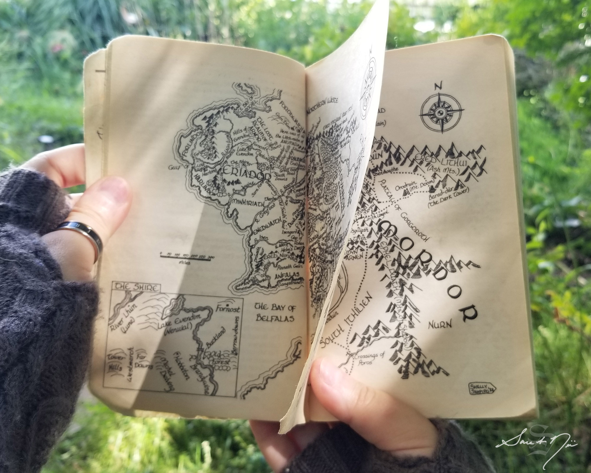 A Reader's Map to The Fellowship of the Ring