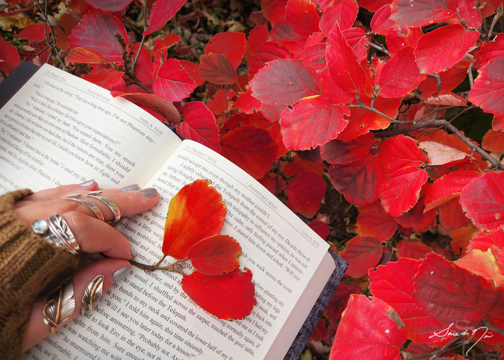 Open book with fall foliage