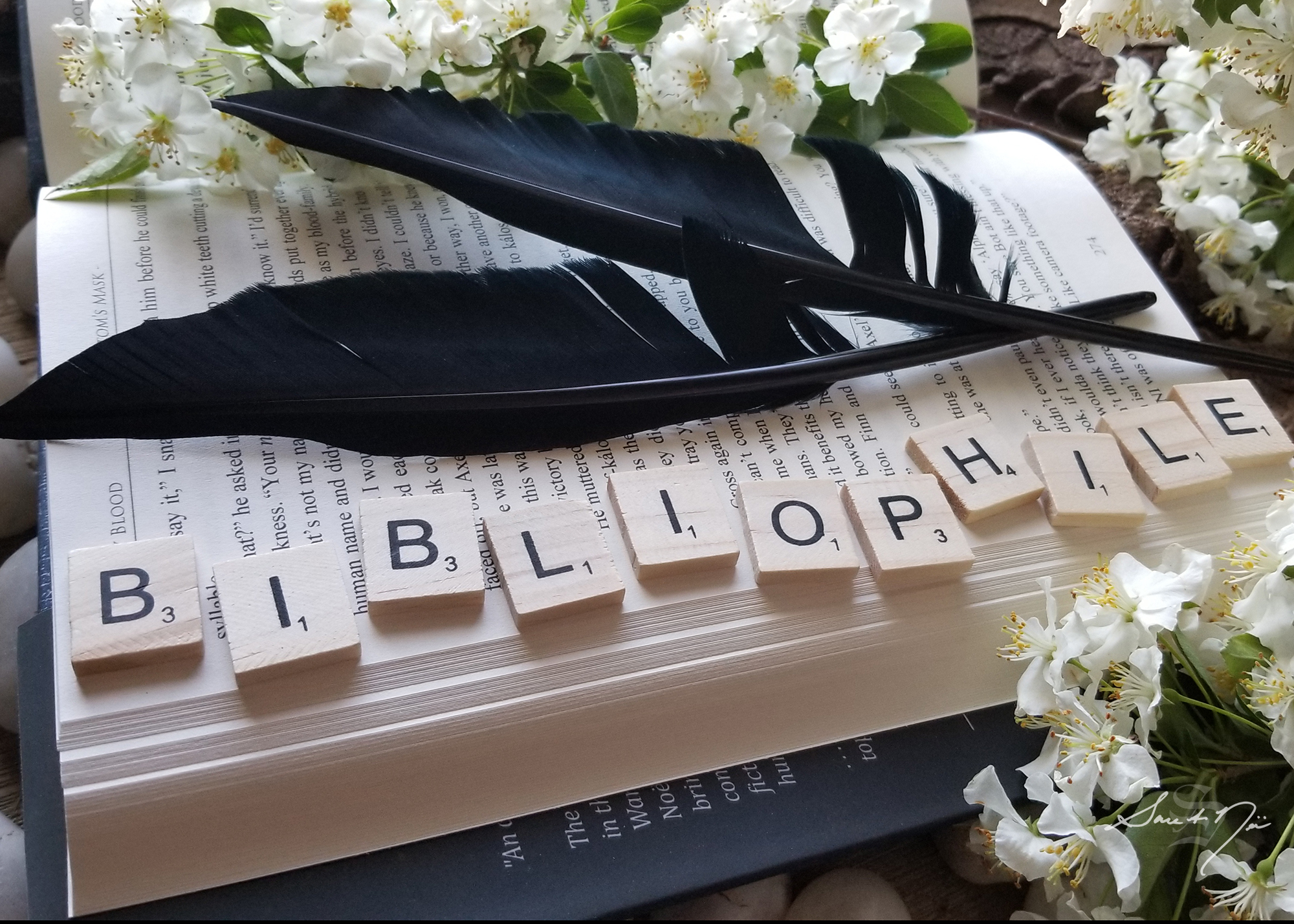 open book with Scrabble tiles spelling "bibliophile"