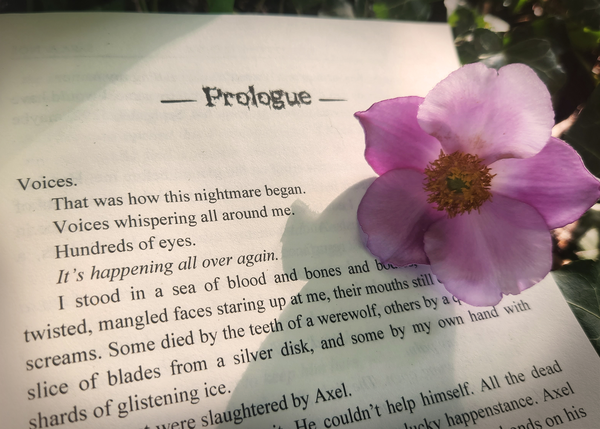 open book page prologue of Phantom's Mask with a flower