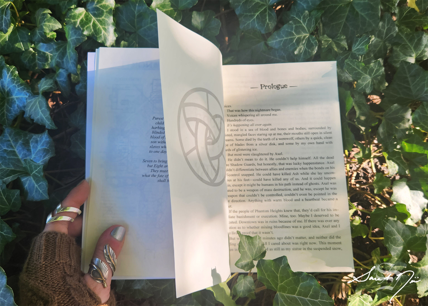 Open book in a bed of ivy