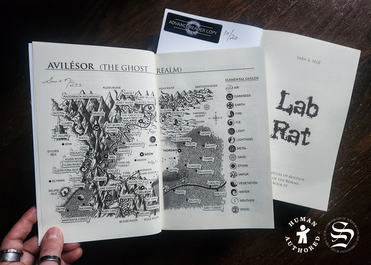 Map of the Ghost Realm Avilesor in Lab Rat by Sara A. Noe